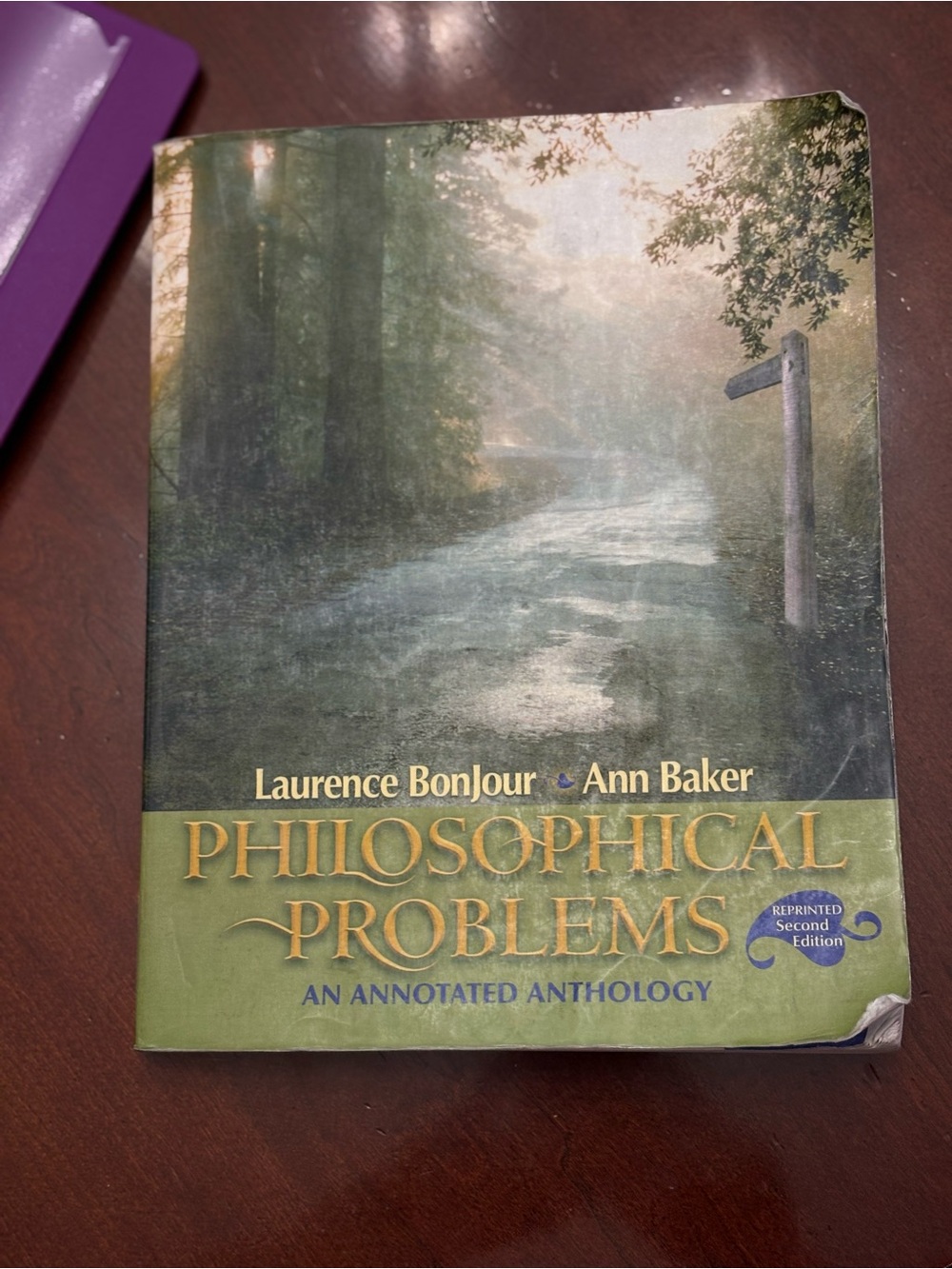 Philosophical Problems by Laurence Bonjour & Ann Baker - Green Cover
